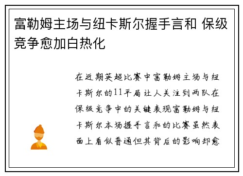 富勒姆主场与纽卡斯尔握手言和 保级竞争愈加白热化