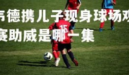 V体育官方app-韦德携儿子现身球场观赛助威，韦德携儿子现身球场观赛助威是哪一集